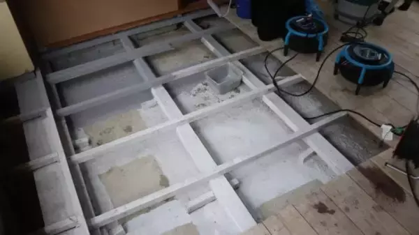 「ペット不可の賃貸物件で「飼っていた痕跡を消して」特殊清掃業者が現実的にできること」の画像