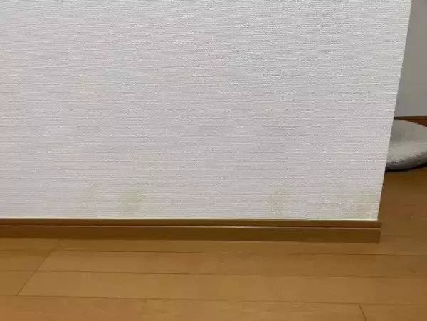 「ペット不可の賃貸物件で「飼っていた痕跡を消して」特殊清掃業者が現実的にできること」の画像