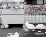 「マンションの共有部に「分別していないゴミ袋」を放置する迷惑住民の“悲惨な末路”「自業自得だと思った」」の画像1