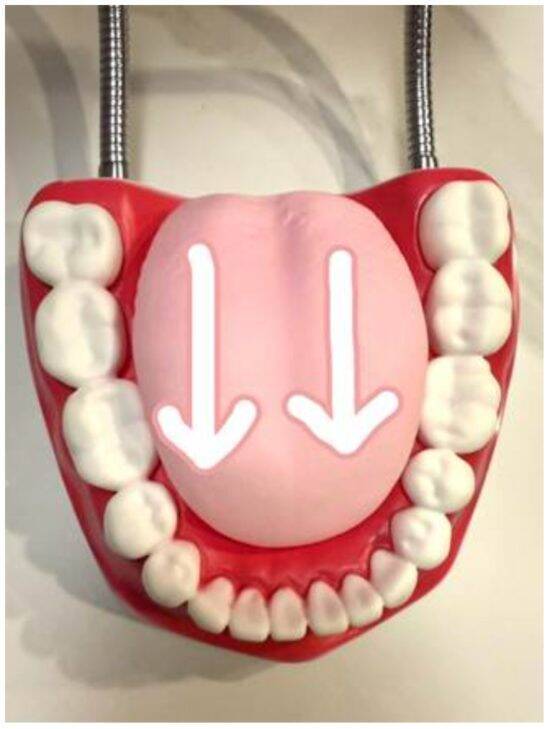 妻が密かに怯えている“夫の口臭問題”。歯科医が教えるオーラルケア4か条