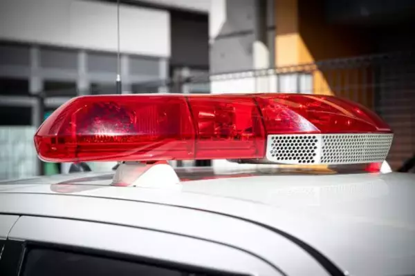 「高速道路で「後ろにピッタリ」あおり運転してきた“ガラの悪い”スポーツカーが警察に捕まるまで――仰天ニュース特報」の画像