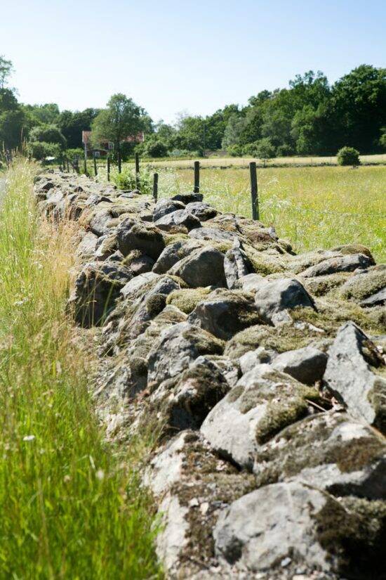 ネット情報の「IKEAおすすめ30選にダマされるな」。定価5万円のソファが12万円…はびこる高額転売品を見抜け