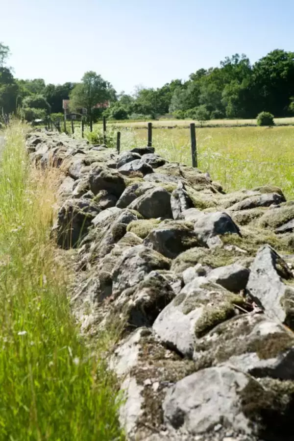 「ネット情報の「IKEAおすすめ30選にダマされるな」。定価5万円のソファが12万円…はびこる高額転売品を見抜け」の画像