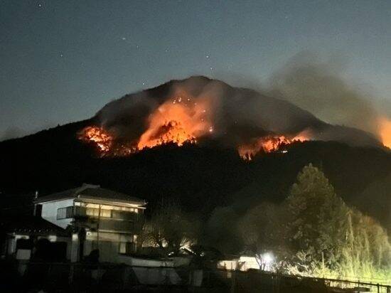 山火事から“12匹の猟犬”を救い出した30代女性猟師。東京の不動産OLが「山梨に移住して」気づいた“生きている実感”