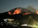 「山火事から“12匹の猟犬”を救い出した30代女性猟師。東京の不動産OLが「山梨に移住して」気づいた“生きている実感”」の画像2