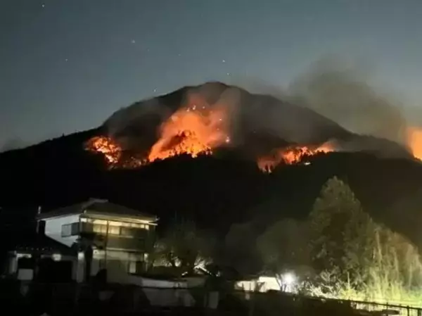 「山火事から“12匹の猟犬”を救い出した30代女性猟師。東京の不動産OLが「山梨に移住して」気づいた“生きている実感”」の画像
