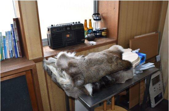 山火事から“12匹の猟犬”を救い出した30代女性猟師。東京の不動産OLが「山梨に移住して」気づいた“生きている実感”