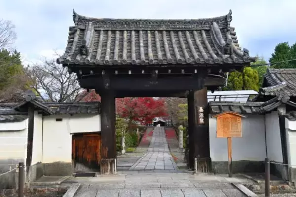 「『豊臣兄弟！』「秀吉が信長の草履を温めた」は作り話？信長の意外なやさしい一面とは」の画像