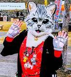 「『探偵！ナイトスクープ』で話題、“猫のかぶりもの”をする人物の正体は？有名芸能人の子どもとして生まれた孤独と14年間の引きこもり生活」の画像1