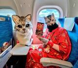 「『探偵！ナイトスクープ』で話題、“猫のかぶりもの”をする人物の正体は？有名芸能人の子どもとして生まれた孤独と14年間の引きこもり生活」の画像3