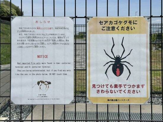 クマより人が死んでいる…スズメバチ相手に「叩いて潰す」は自殺行為。プロが警告する“絶対NG”な行動