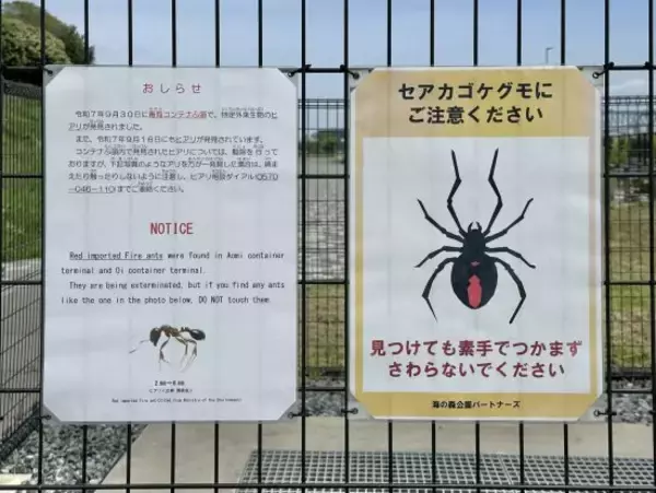 「クマより人が死んでいる…スズメバチ相手に「叩いて潰す」は自殺行為。プロが警告する“絶対NG”な行動」の画像