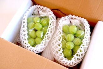 ふるさと納税「おいしい肉や果物の代わりに失った」行政サービス。東京都では“累計1兆1593億円”が流出