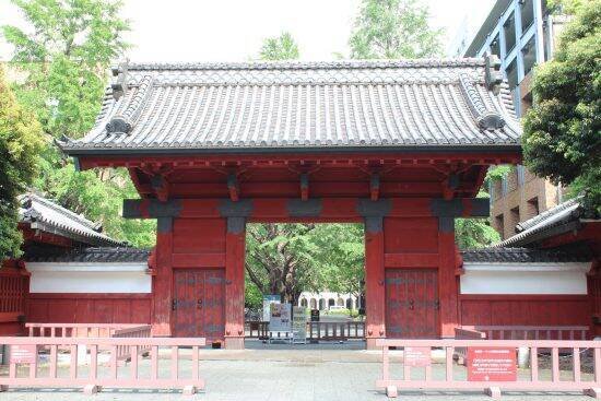 今年の東大合格者数で見えた進学校の“最新勢力図”。昨年比33人減の“超名門校”は「凋落してしまった」のか