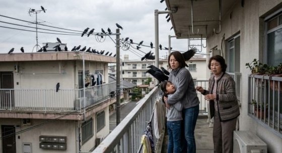 「なんかカラス多くない？」原因は“他人のアパートに毎日ネコの餌を置いていく”高齢女性…問題を解決した意外な方法