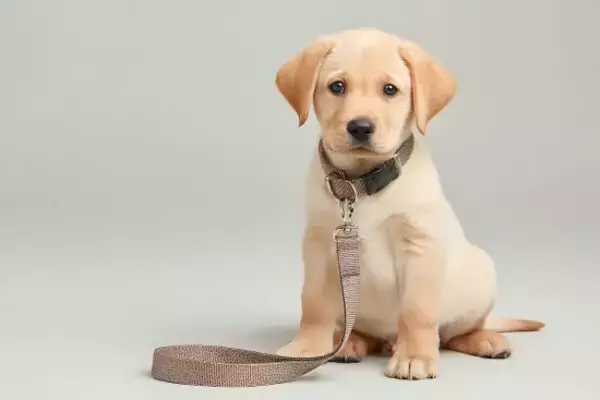 「「絶対に後々問題になる」悪い予感が的中、期待の新入社員が1週間で辞めたワケ」の画像