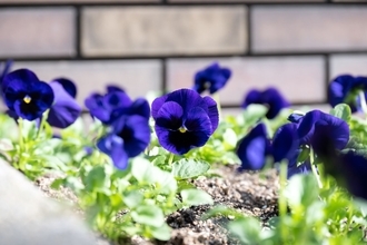 「夢のマイホームでしたが、手放します」戸建てを購入した夫婦が受けた“悪質すぎる隣人の嫌がらせ”とは