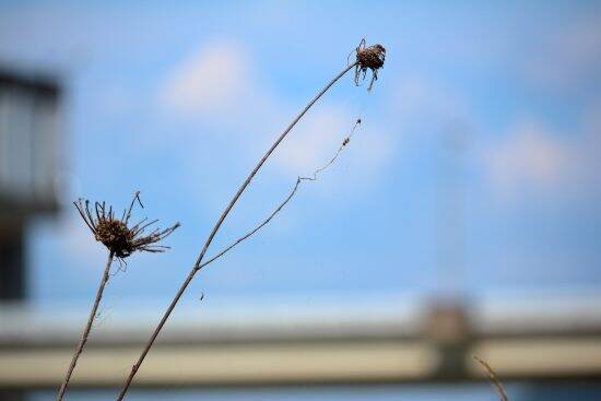 「夢のマイホームでしたが、手放します」戸建てを購入した夫婦が受けた“悪質すぎる隣人の嫌がらせ”とは