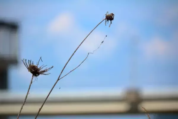 「「夢のマイホームでしたが、手放します」戸建てを購入した夫婦が受けた“悪質すぎる隣人の嫌がらせ”とは」の画像