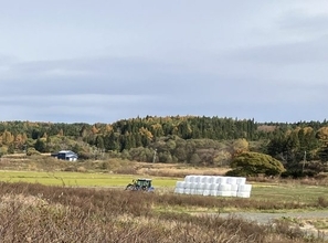 「やっぱり東京に戻りたい」農村の生活になじめない妻と2年で離婚。東北にUターン移住した45歳男性の後悔――大反響セレクション