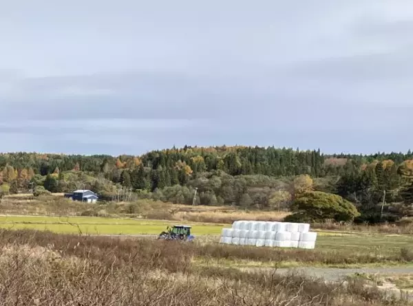 「やっぱり東京に戻りたい」農村の生活になじめない妻と2年で離婚。東北にUターン移住した45歳男性の後悔――大反響セレクション