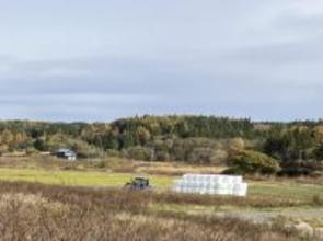 「やっぱり東京に戻りたい」農村の生活になじめない妻と2年で離婚。東北にUターン移住した45歳男性の後悔――大反響セレクション