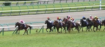 「G1馬にこれは酷い」スプリンターズSで波紋…パンジャタワー惨敗後に広がった“ゲート入り直前の長ムチ”