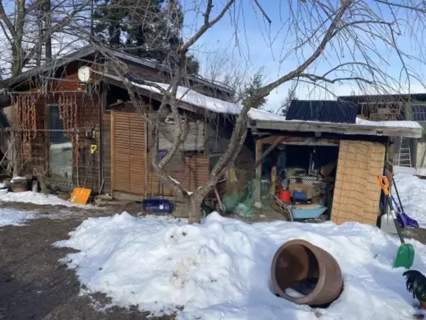 「ほぼ交際0日で結婚、東京から青森に移住した女性。公共の電気、ガス、水道も使わない「0円生活」の内容」の画像