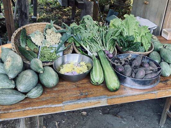 ほぼ交際0日で結婚、東京から青森に移住した女性。公共の電気、ガス、水道も使わない「0円生活」の内容