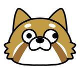 「「斜視あるある」がSNSで大反響。「目、どこ向いてんの？」蔑まれたコンプレックスを自ら発信する理由」の画像6