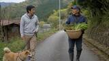 「「許可は取ってます」嘘をついて他人の敷地で山菜を採る60代男性…身元がバレて慰謝料30万円を支払うまで／年間500円で合法な手続きも…山菜採りのルールを調べてみた」の画像3