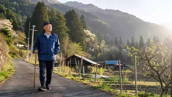 「「許可は取ってます」嘘をついて他人の敷地で山菜を採る60代男性…身元がバレて慰謝料30万円を支払うまで／年間500円で合法な手続きも…山菜採りのルールを調べてみた」の画像