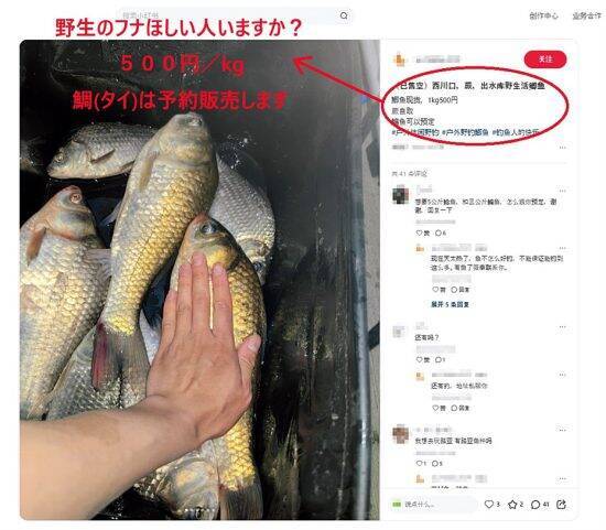 盗んだアラがカマ焼きに、釣った魚は高級料理に…記者が見た“格安飲食店”の異常な仕入れ