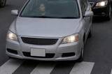 「交差点で“あおり運転”された女性。恐怖で動けなくなっていたら…救ってくれたトラック運転手の“一喝”／実は「制限速度＝安全」ではない、道交法のちょっとした落とし穴」の画像2