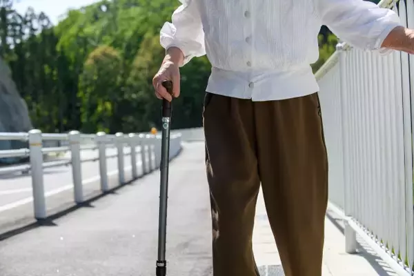 「「木の枝が敷地に入ってるぞ！」隣に住むクレーマー老人が隠していた“セコイ事実”。「枝なんかよりよっぽど問題」」の画像