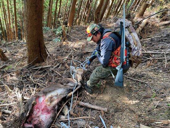 「頭上からクマが襲撃してくることも」市街地での遭遇急増、元外人部隊員とサバイバルのプロが伝授する意外な撃退法