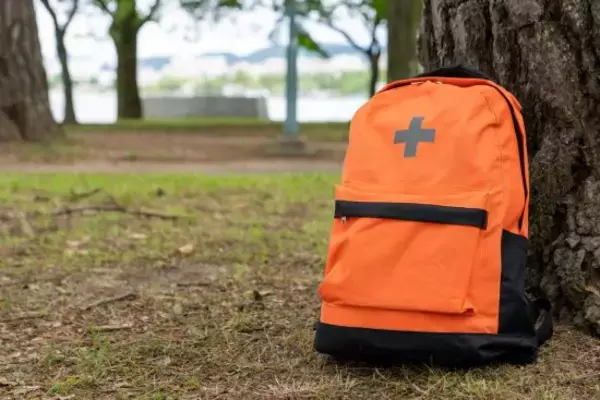 「「水害列島」日本の正体。気象災害は50年で5倍に増加…1500年の“水害史”と気象変動の真実」の画像