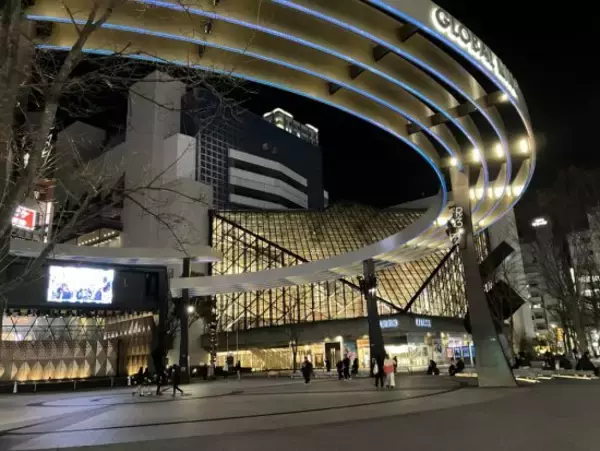 「「ほぼドラッグ」在日中国人留学生の間で出回る“木の実”の正体とは？密売人に接触して見えた実態」の画像