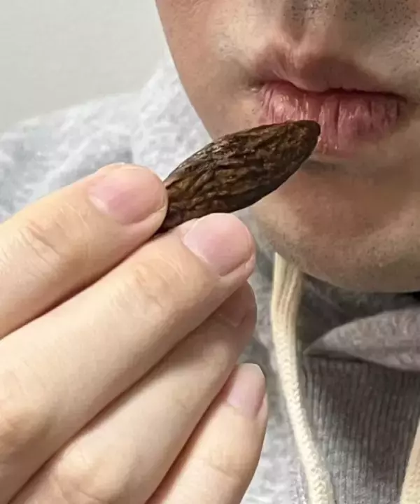 「「ほぼドラッグ」在日中国人留学生の間で出回る“木の実”の正体とは？密売人に接触して見えた実態」の画像