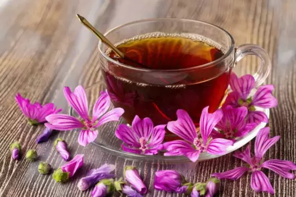 「「花見は廃止しました」「歓迎会は行きません」令和の新入社員の行動に思わずア然…『飲み会を労働時間に含む』驚きの調査結果も」の画像