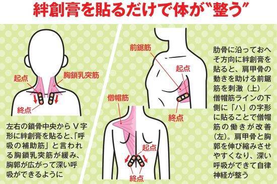 「痛すぎるのに気持ちいい」無数の突起マット、絆創膏を貼るだけ整体…疲労回復ブームで注目を集める“謎の健康法”の効果とは
