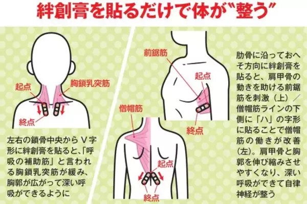 「「痛すぎるのに気持ちいい」無数の突起マット、絆創膏を貼るだけ整体…疲労回復ブームで注目を集める“謎の健康法”の効果とは」の画像