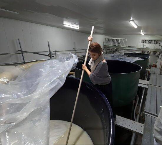 「何を言われても凹まない」元No.1キャバ嬢が知識ゼロから日本酒造りに挑戦。蔵元を動かした“常識のなさ"という武器