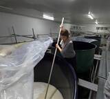 「「何を言われても凹まない」元No.1キャバ嬢が知識ゼロから日本酒造りに挑戦。蔵元を動かした“常識のなさ"という武器」の画像2