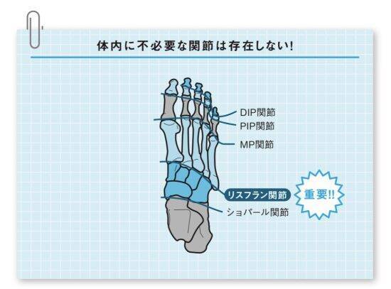 スマホ首、座りっぱなし、SNS疲れ…現代人を蝕む「腰痛・肩こり・不眠」を根本から断つ生活習慣