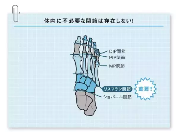 「スマホ首、座りっぱなし、SNS疲れ…現代人を蝕む「腰痛・肩こり・不眠」を根本から断つ生活習慣」の画像
