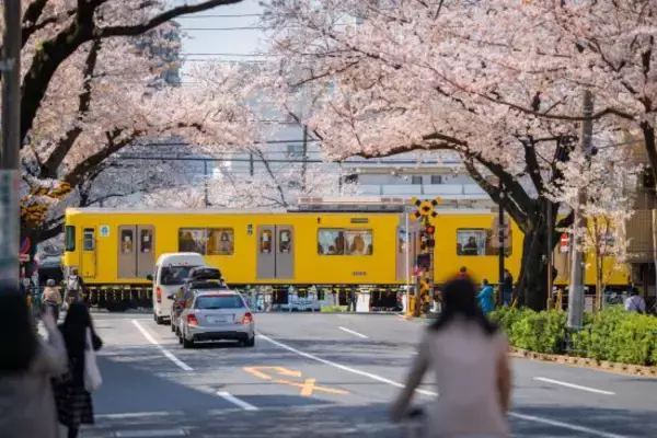 「「ワンルーム10万円は当たり前」の東京で“一人暮らし向きな街”はどこ？東大生30人に聞いたら意外に人気だった“川の向こう側”とは」の画像