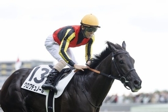 ＜ジャパンC＞“内枠が圧倒的に有利”なのに「クロワデュノールは半信半疑」のワケ。競馬プロが語る「紐穴で狙っている馬」