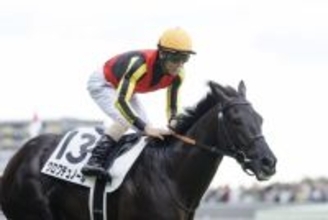 ＜ジャパンC＞“内枠が圧倒的に有利”なのに「クロワデュノールは半信半疑」のワケ。競馬プロが語る「紐穴で狙っている馬」