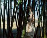 「気持ちのリセットは髪を切るより「刺青」。いじめによる不登校、“17歳での中絶”を乗り越えた32歳女性の「自分らしい生き方」」の画像6